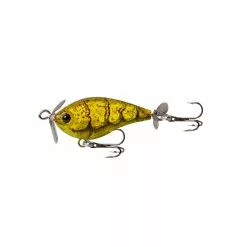 Tackle World Mackay FISHCRAFT FIZZ BUG LURES 16 Tackle World Mackay FISHCRAFT FIZZ BUG LURES -Cheap Reels Store spotted prawn 471b807b 523f 4849 9edf 4bcd7b152c5f