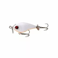 Tackle World Mackay FISHCRAFT FIZZ BUG LURES 17 Tackle World Mackay FISHCRAFT FIZZ BUG LURES -Cheap Reels Store white widow e355c17d 432c 4ab6 a9c3 193951bb453f