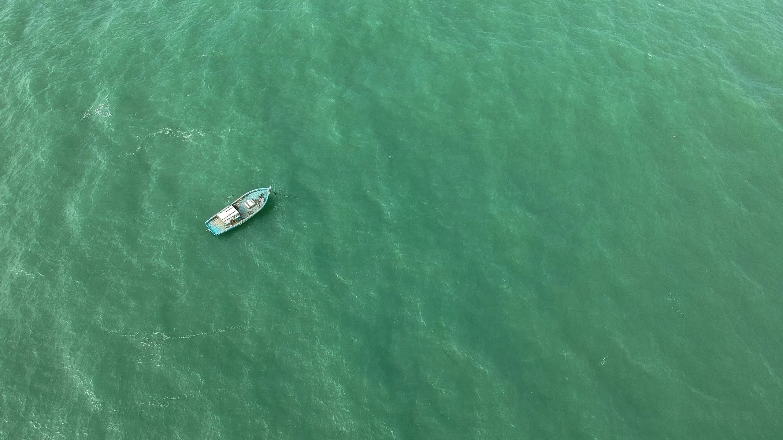 Cheap Reels Store 40 Cheap Reels Store -Cheap Reels Store pexels thiago japyassu 1138766 2 scaled