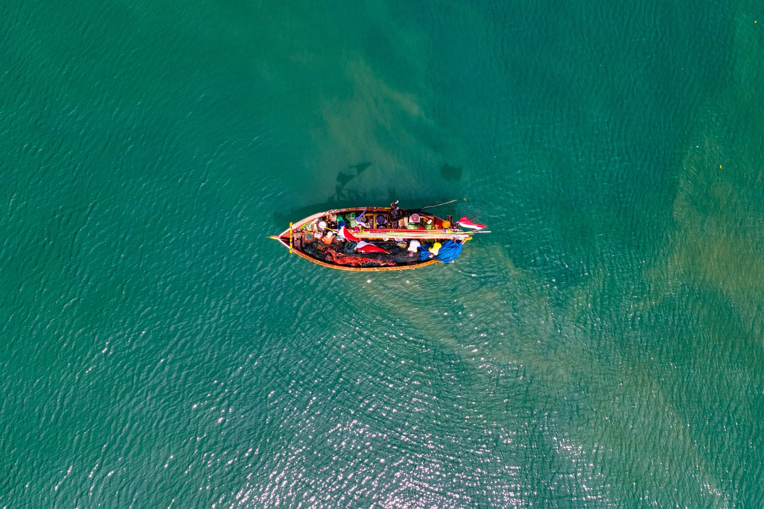 Cheap Reels Store 10 Cheap Reels Store -Cheap Reels Store pexels tom fisk 2192682 2 1 scaled